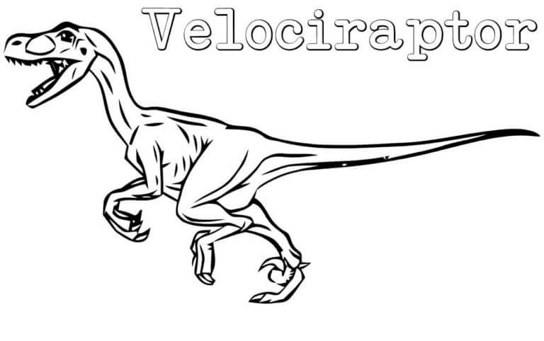 Dibujos de Dibujar Velociraptor gratis fácil para colorear