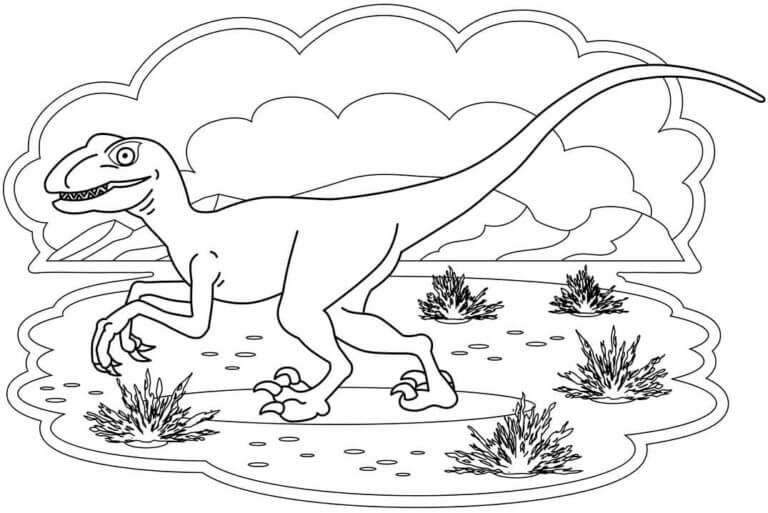 Dibujos de Dibujar Velociraptor gratis para colorear