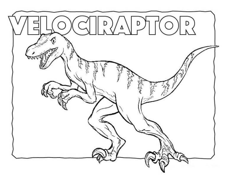 Dibujos de Dibujar Velociraptor lindo para colorear