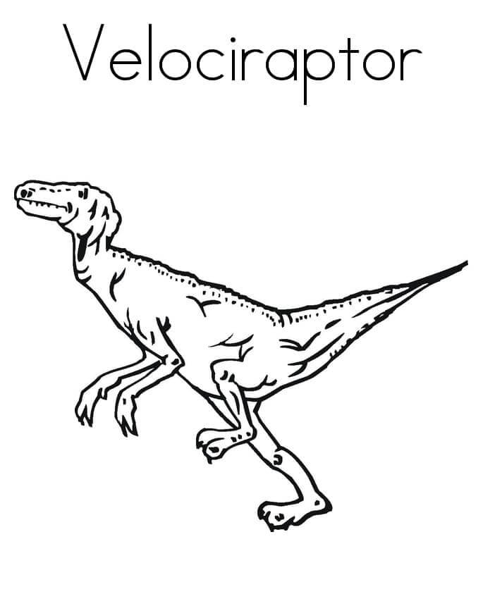 Dibujar Velociraptor muy chulo para colorir