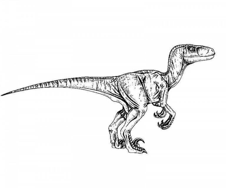 Dibujar Velociraptor muy lindo para colorir