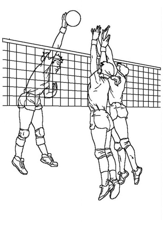 Dibujos de Dibujar Voleibol para niños para colorear
