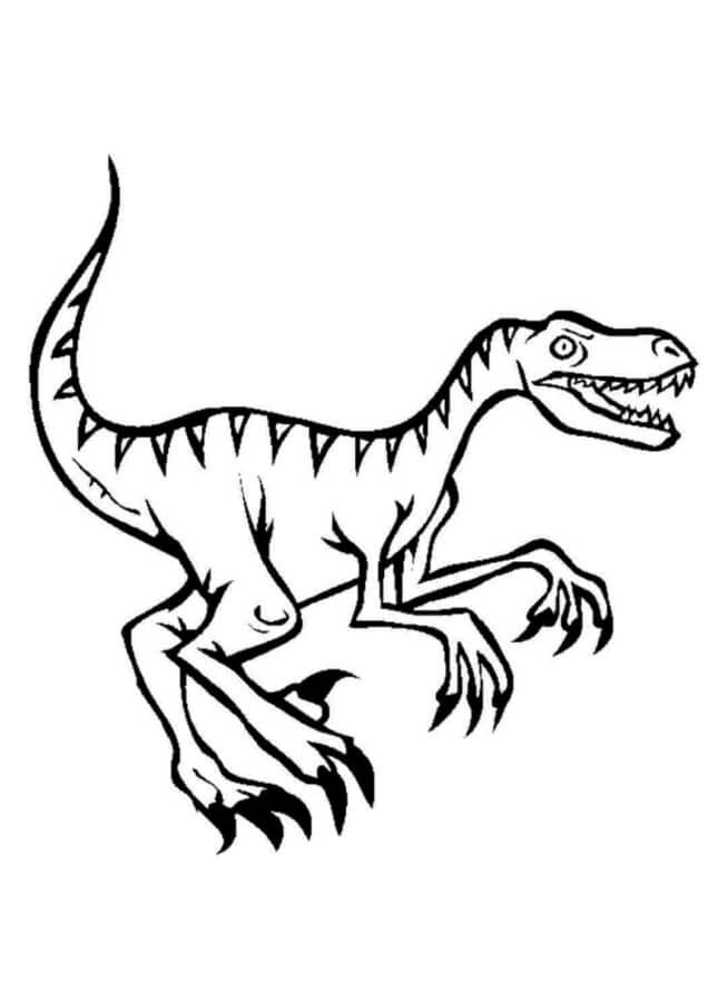 Dibujo básico de Velociraptor para colorir