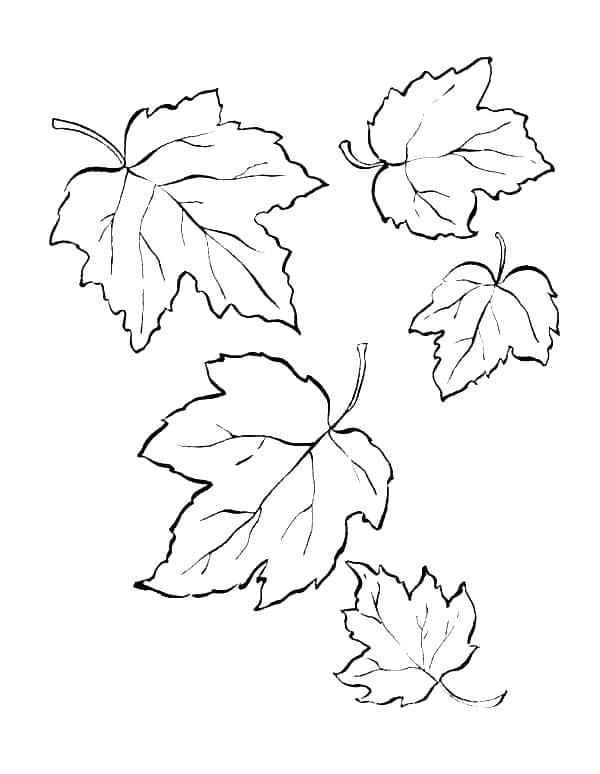 Dibujos de Dibujo de hojas de otoño para colorear