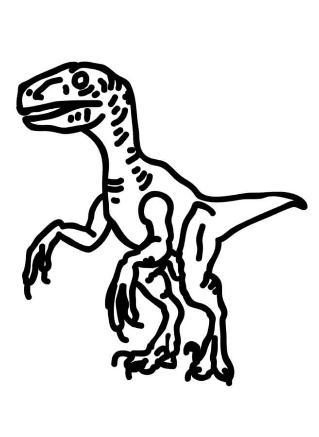 Dibujos de Dibujo de Velociraptor para colorear