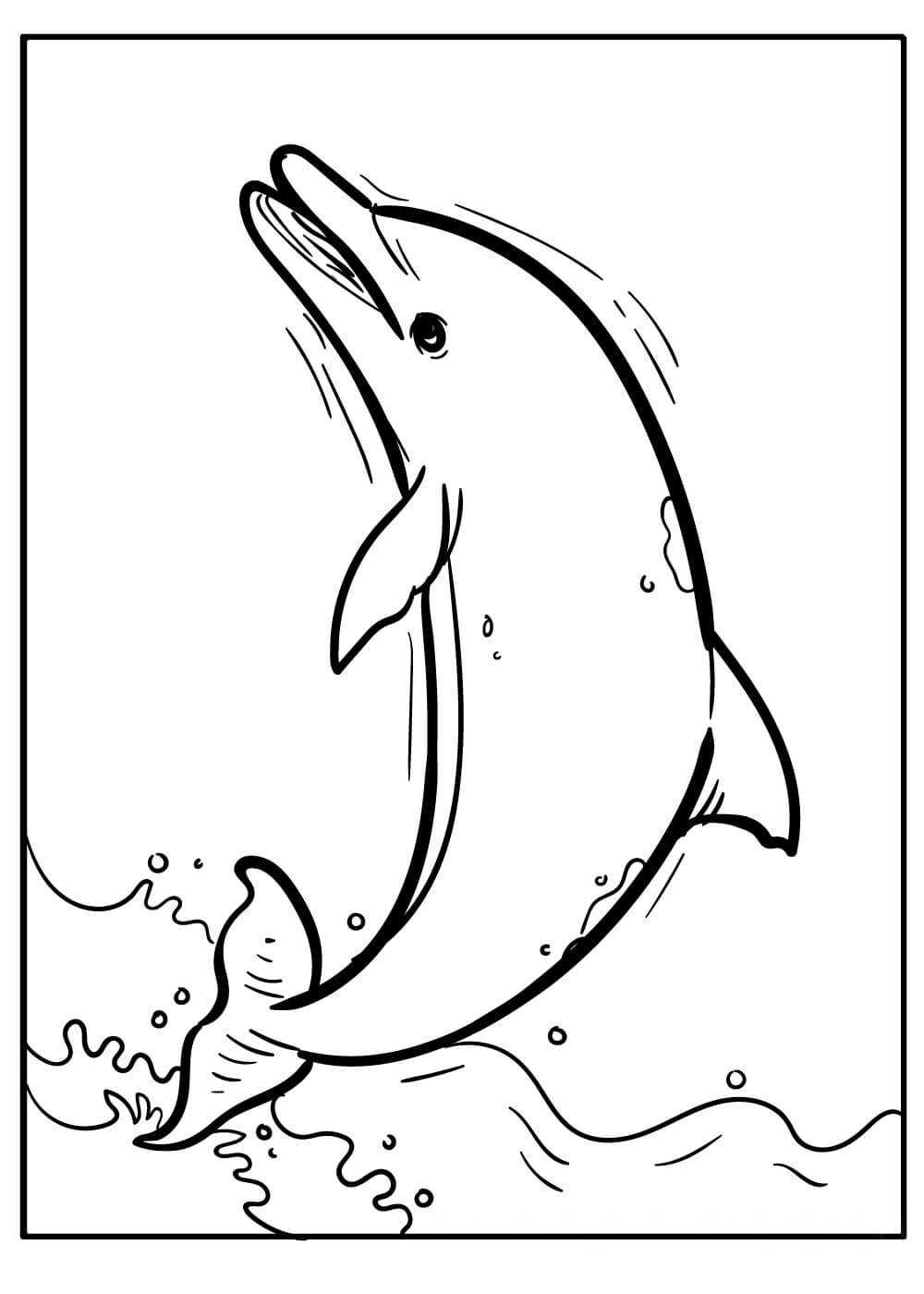 Dibujos de Dibujo Delfín Salto para colorear