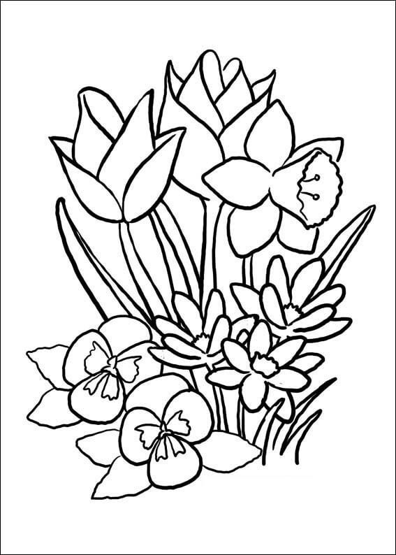Dibujo Flor en Primavera para colorir