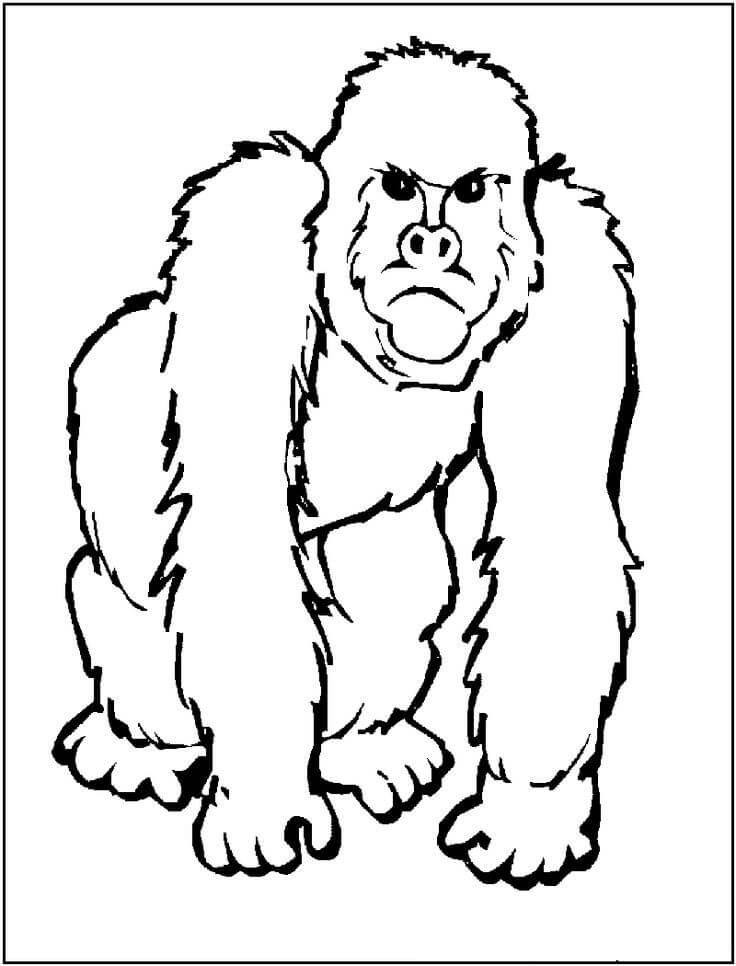 Dibujos de Dibujo Gorila para colorear