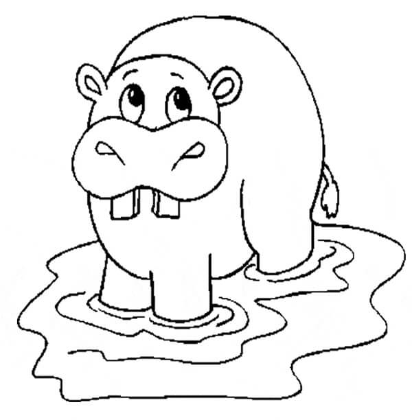 Dibujos de Dibujo Hipopótamo para colorear