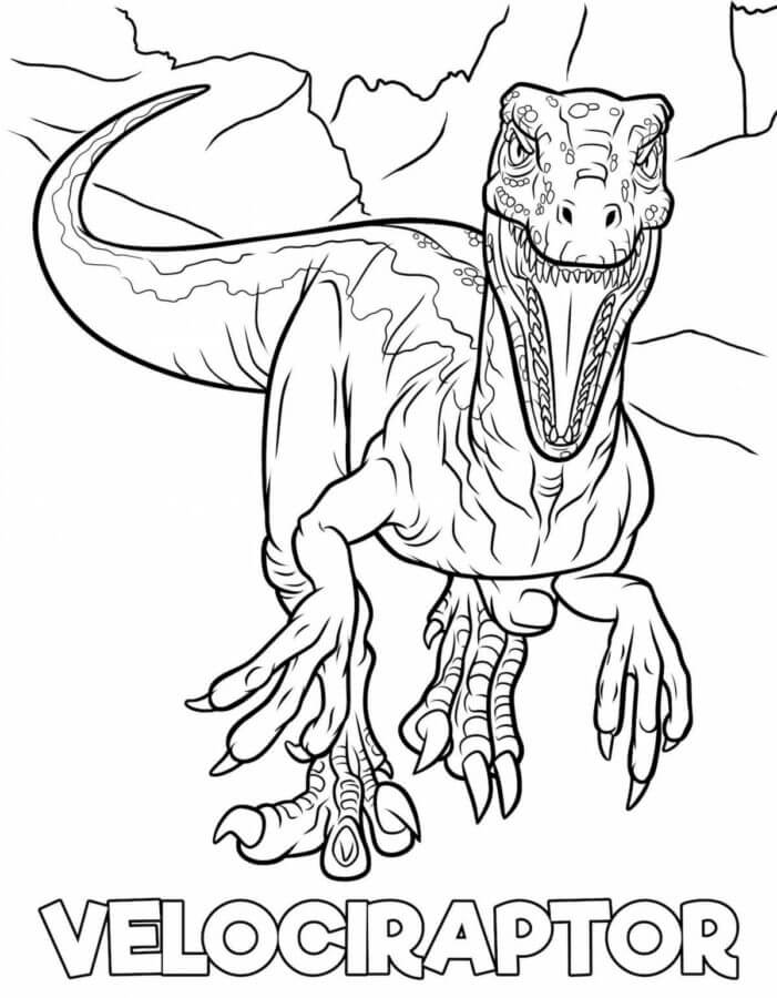 Velociraptor para colorear