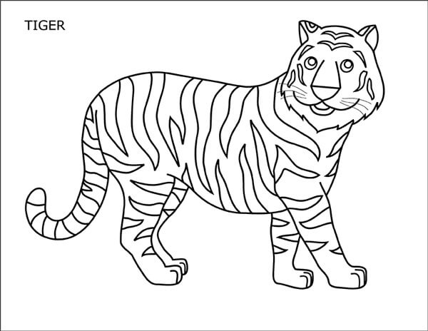 Dibujos de Divertido Tigre para colorear