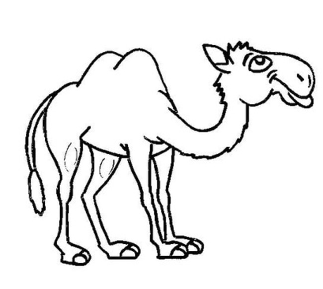 Dibujos de Divertidos Camellos para colorear