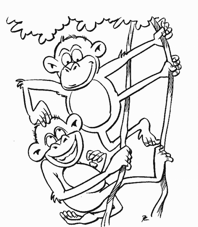 Dibujos de Divertidos dos Monos con rama de Árbol para colorear