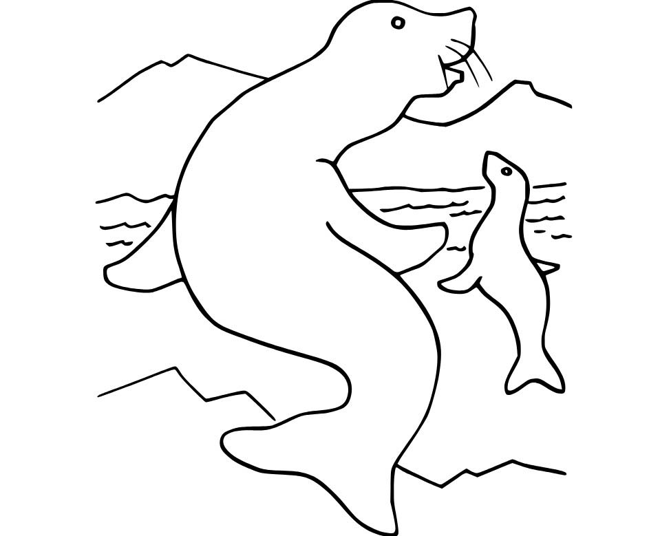 Dibujos de Dos foca fuera del agua para colorear