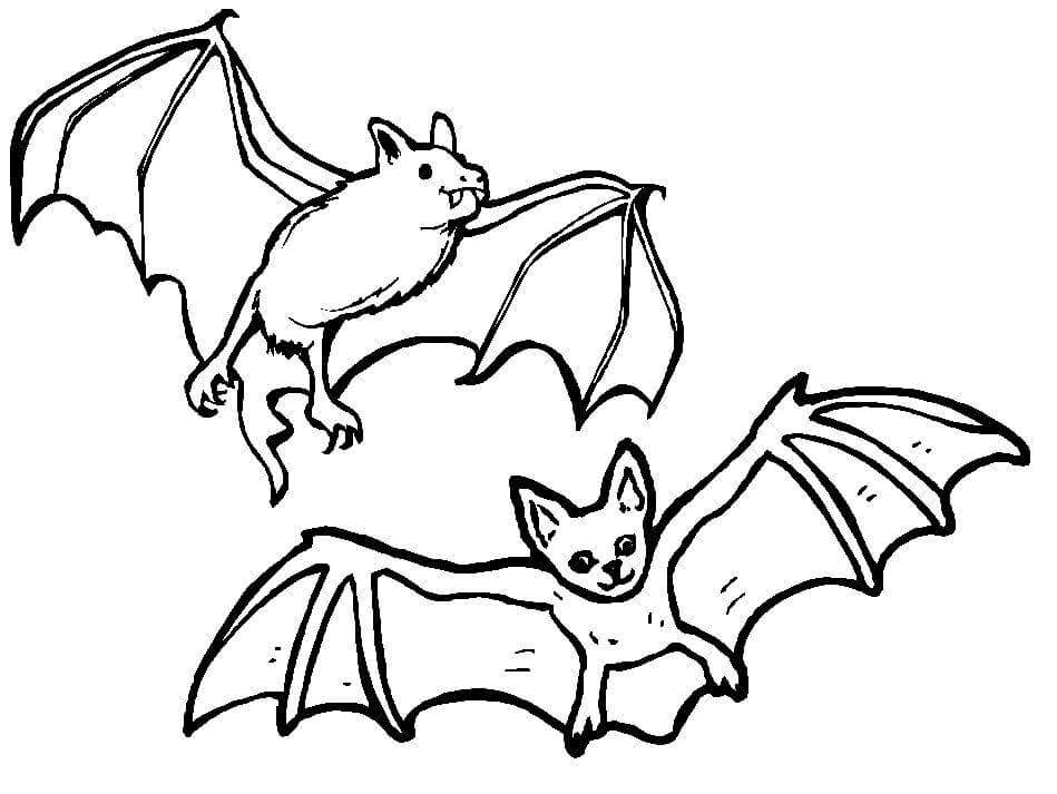 Dibujos de Dos Murciélagos para colorear