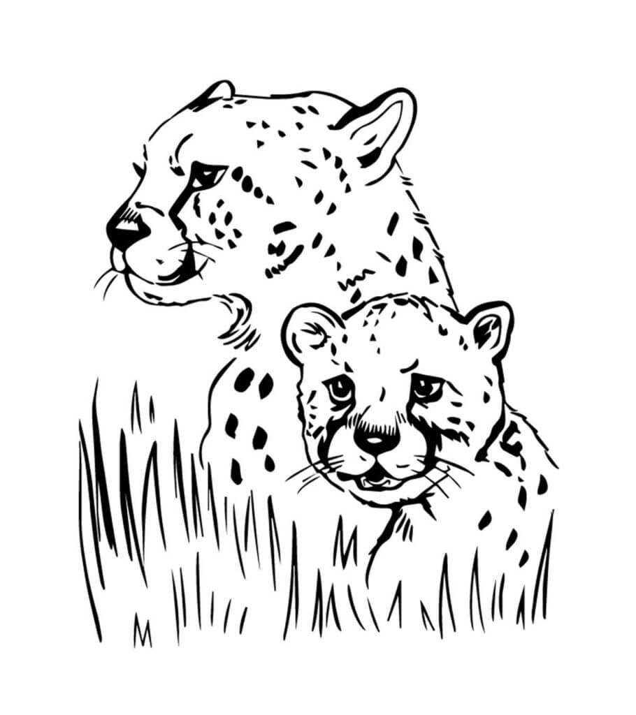 Dibujos de Dos Retratos de Jaguar para colorear
