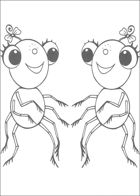 Dibujos de Dos Señorita Arañas para colorear