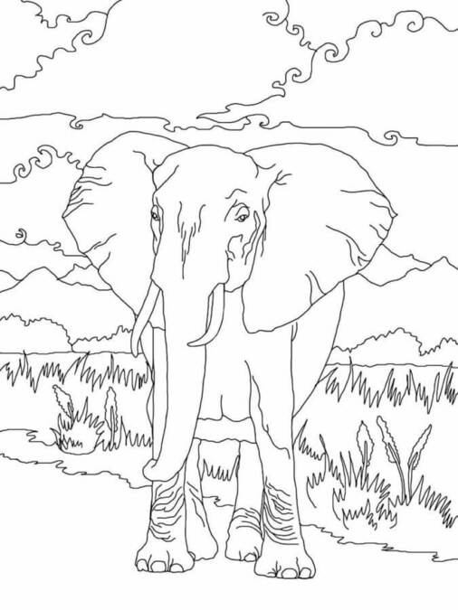 Dibujos de Elefante África de sabana para colorear