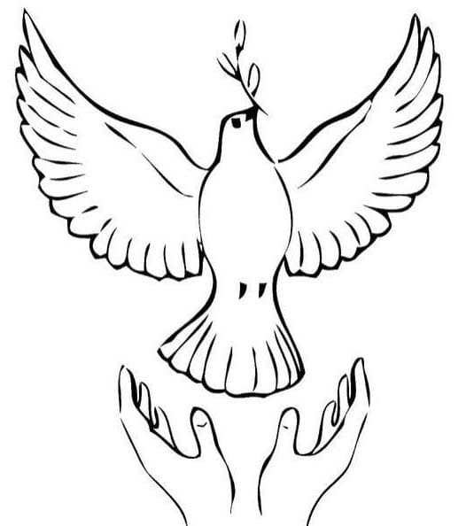 Dibujos de Espíritu Santo 2 para colorear
