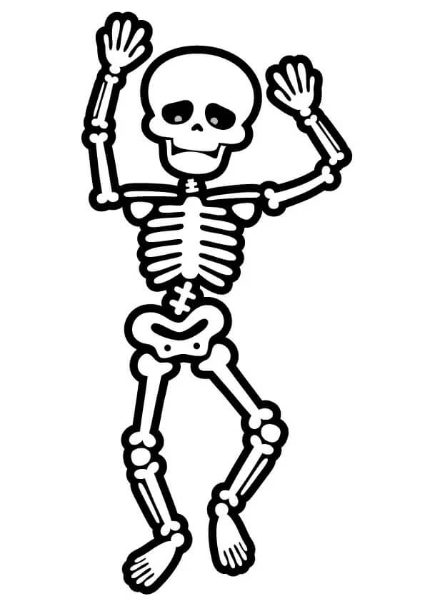 Esqueleto Básico para colorir