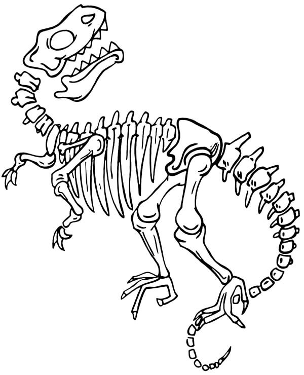 Dibujos de Esqueleto de Dinosaurio para colorear
