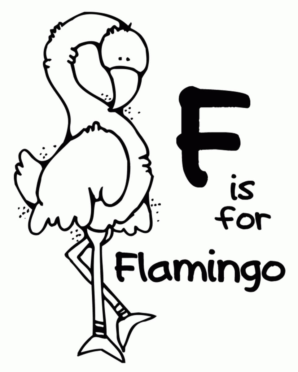 F de Flamingo para colorir