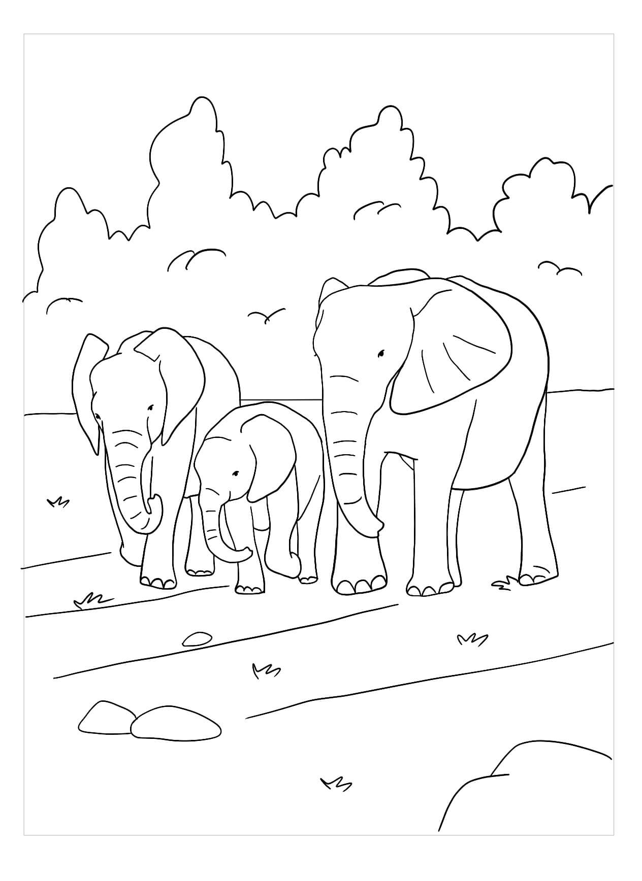 Dibujos de Familia de Elefantes para colorear