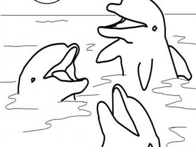 Felices tres Delfines para colorir