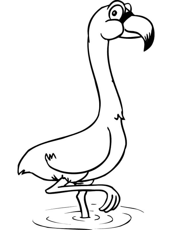 Dibujos de Flamingo