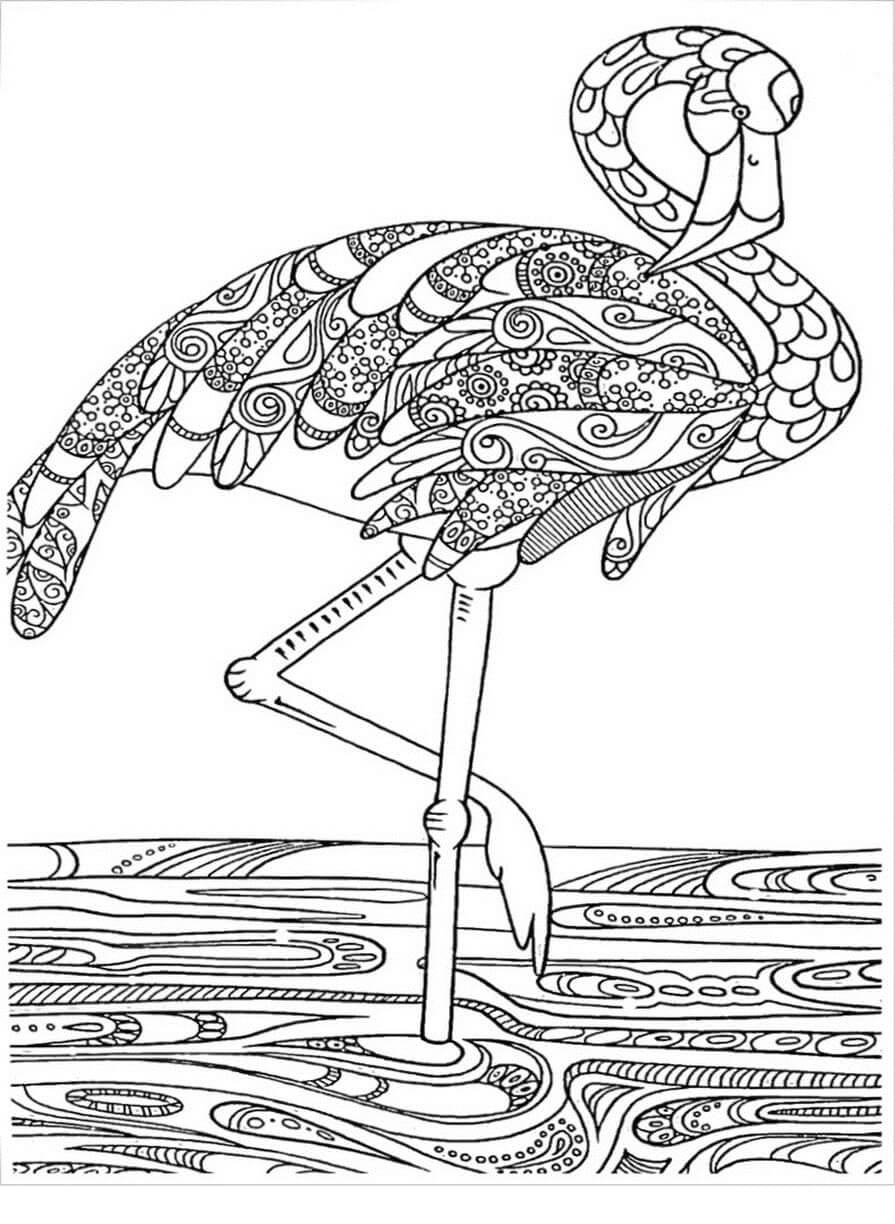 Dibujos de Flamingo Duro para colorear