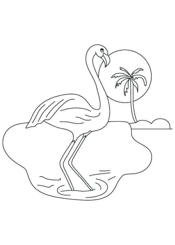 Flamingo en una isla Pequeña para colorir