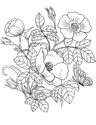 Dibujos de Flores de Primavera y Mariposas para colorear