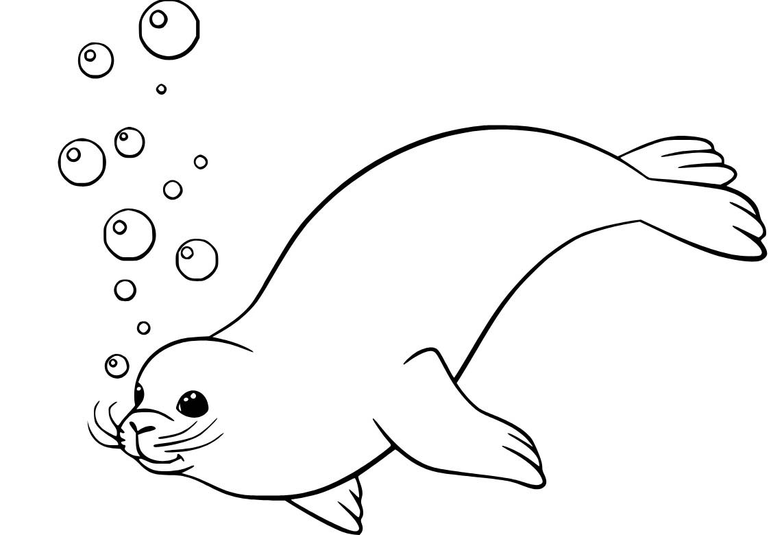 Dibujos de Foca