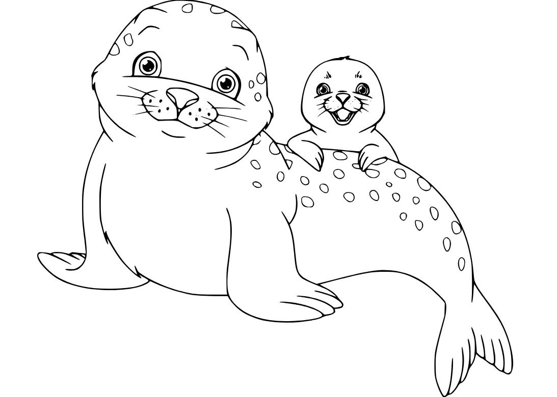 Dibujos de Foca moteada y cachorro para colorear