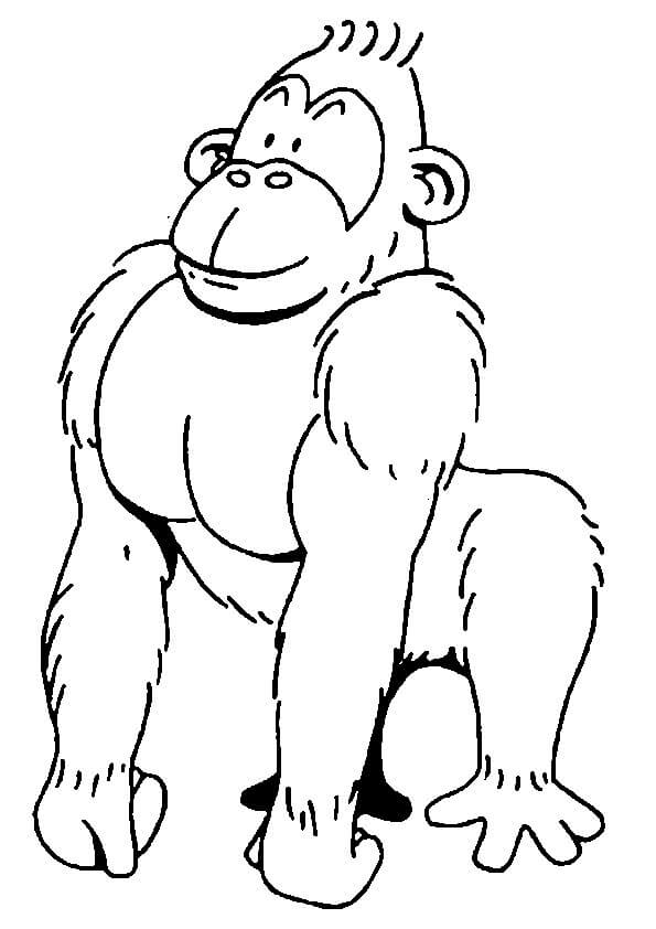 Dibujos de Fotos gratis de Gorila para colorear