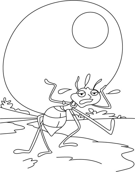 Dibujos de Fotos Gratis de Hormigas para colorear
