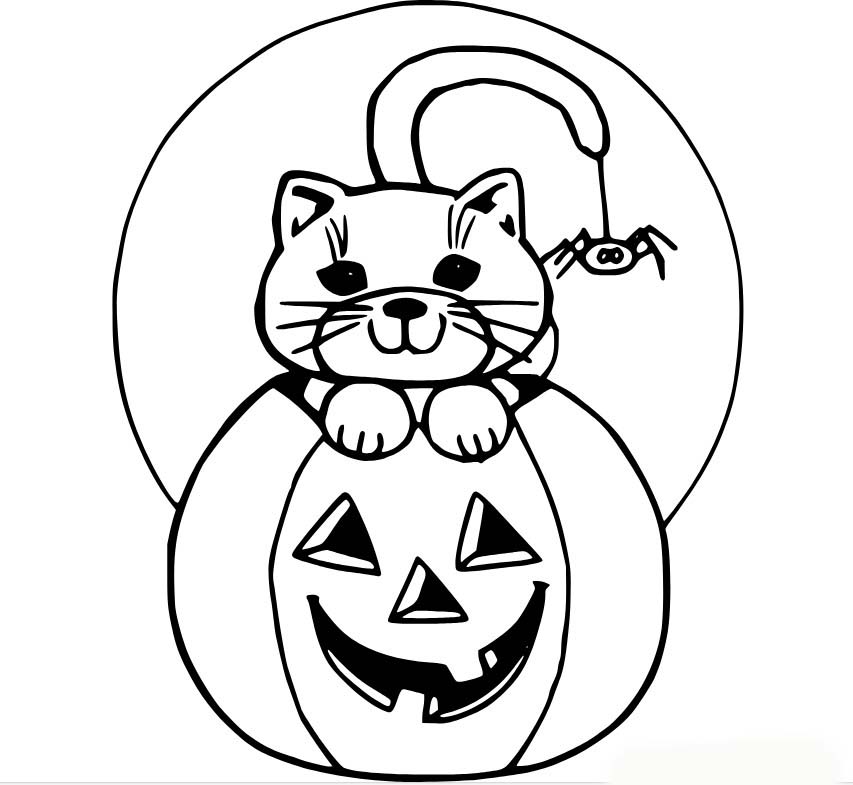 Dibujos de Gato araña y calabaza para colorear