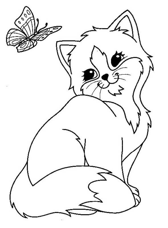 Dibujos de Gato Con Mariposa para colorear