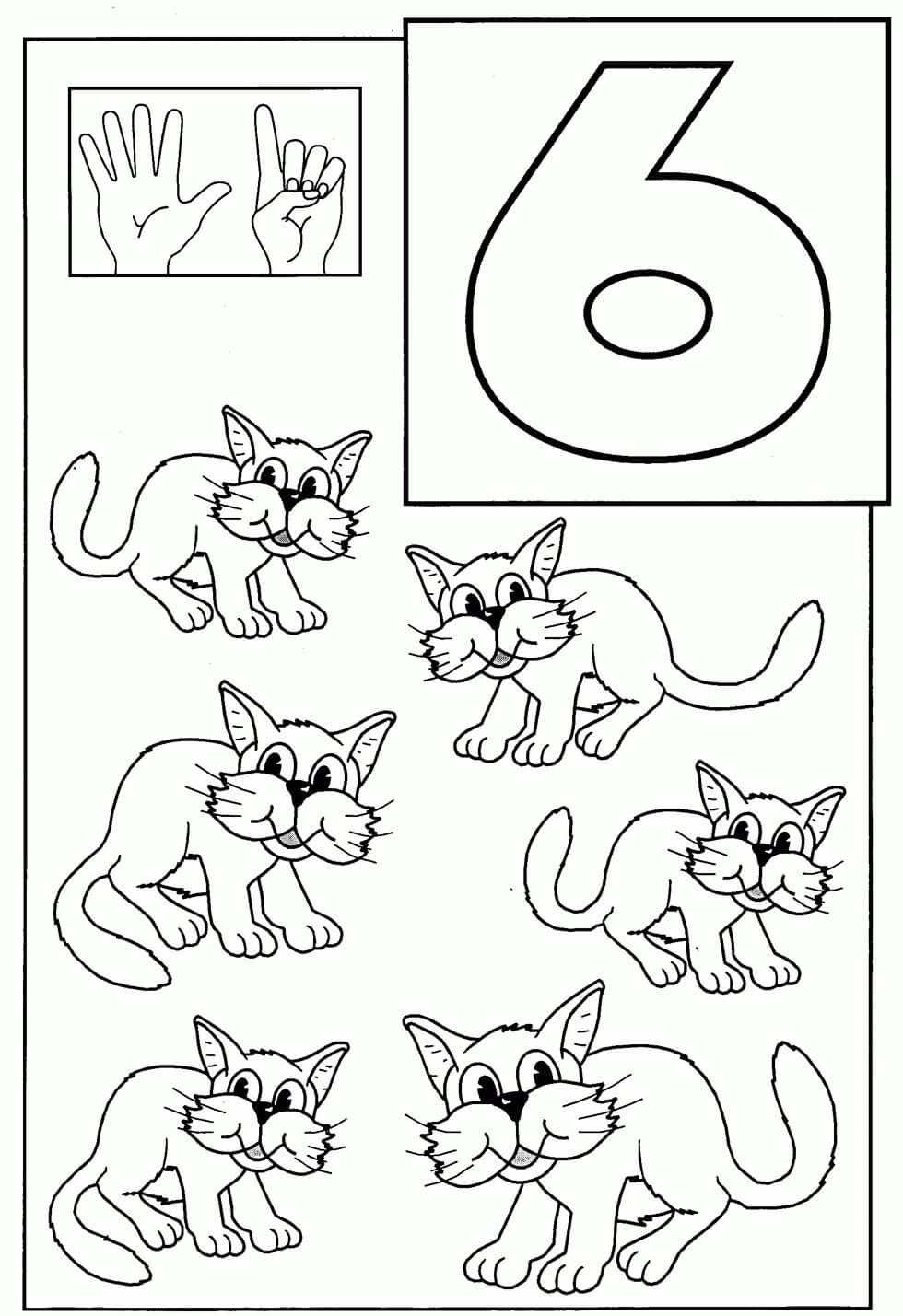 Gato Número Seis y Seis para colorir