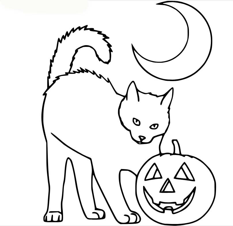 Dibujos de Gato y calabaza con la luna. para colorear