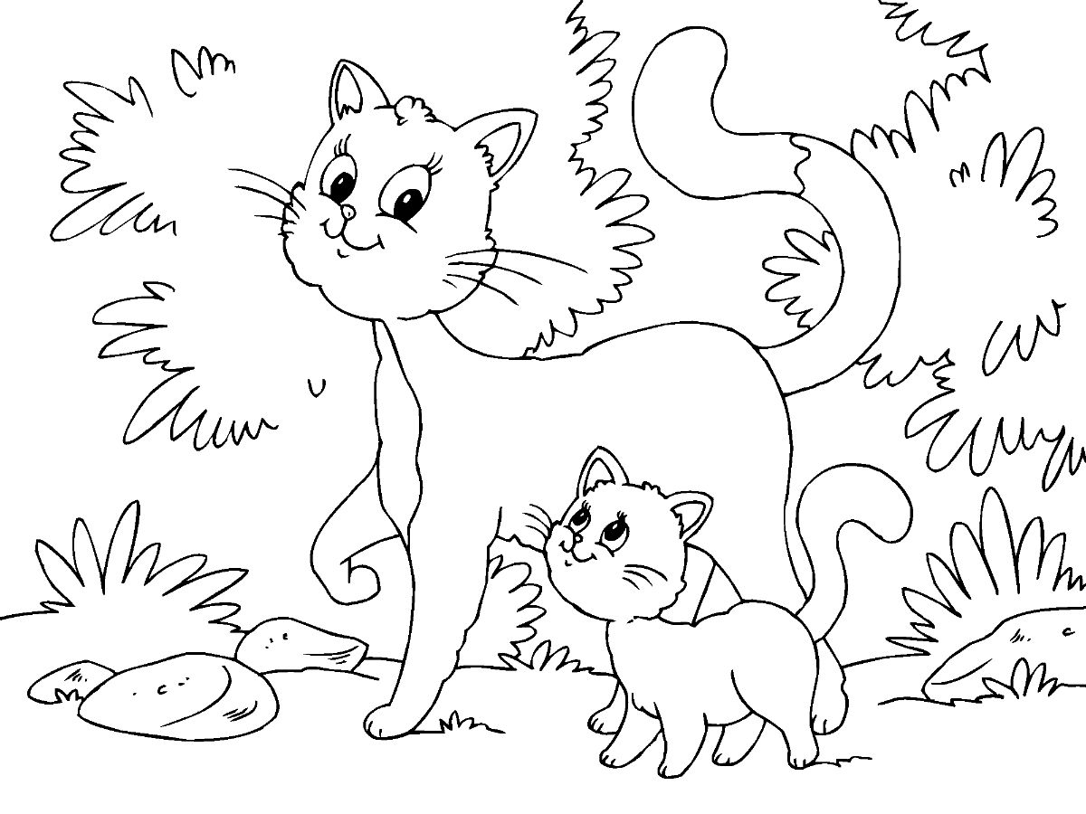 Gato Y Gatito para colorir