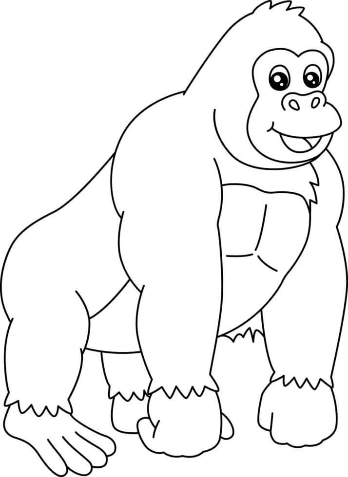 Gorila Básico para colorir