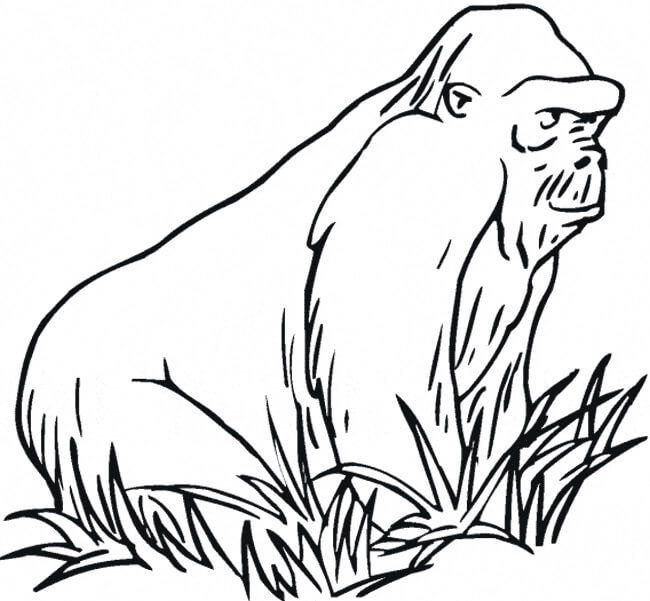 Gorila con Hierba para colorir