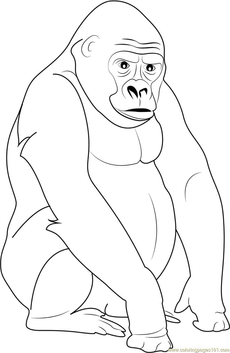 Dibujos de Gorila de Espalda Plateada para colorear