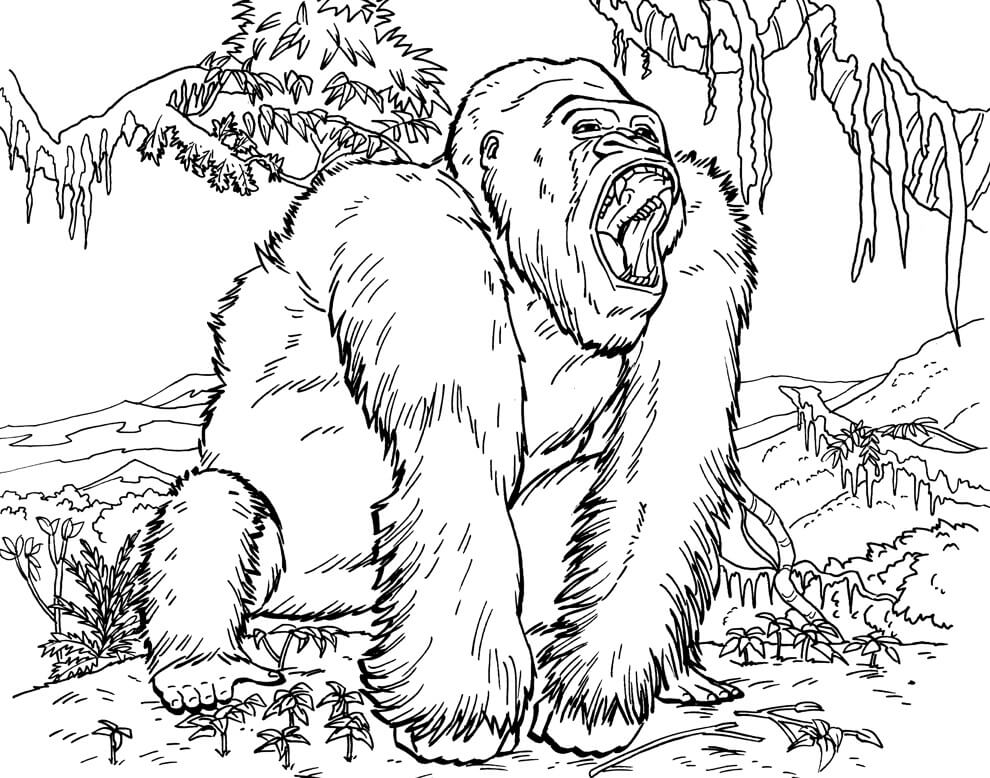 Dibujos de Gorila en la Selva Tropical para colorear