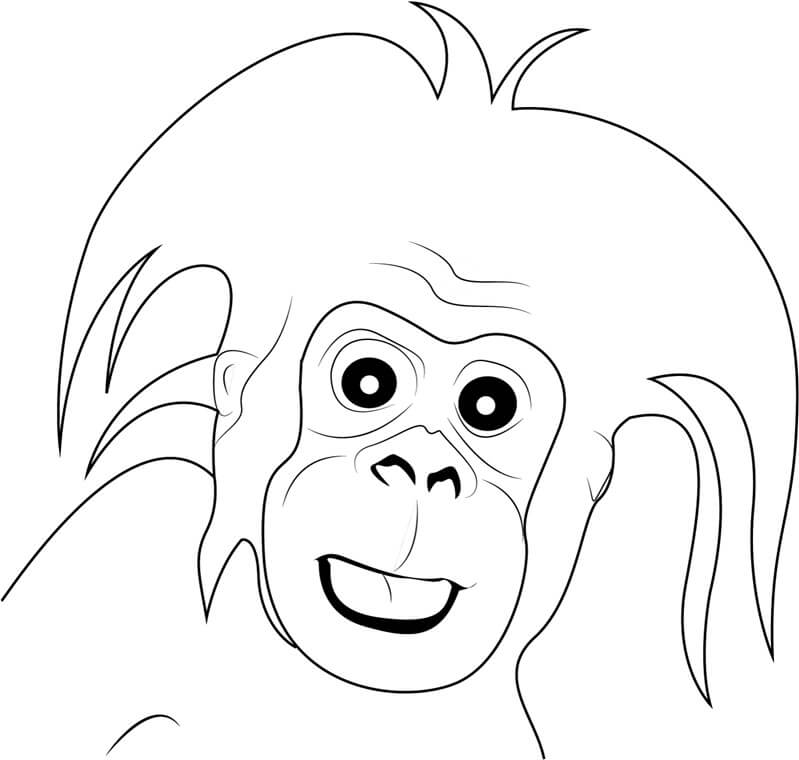 Dibujos de Gorila Pequeño Bebé para colorear