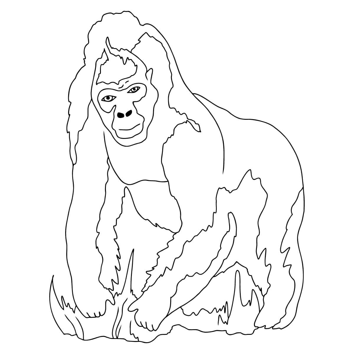 Dibujos de Gorila Perfecto para colorear