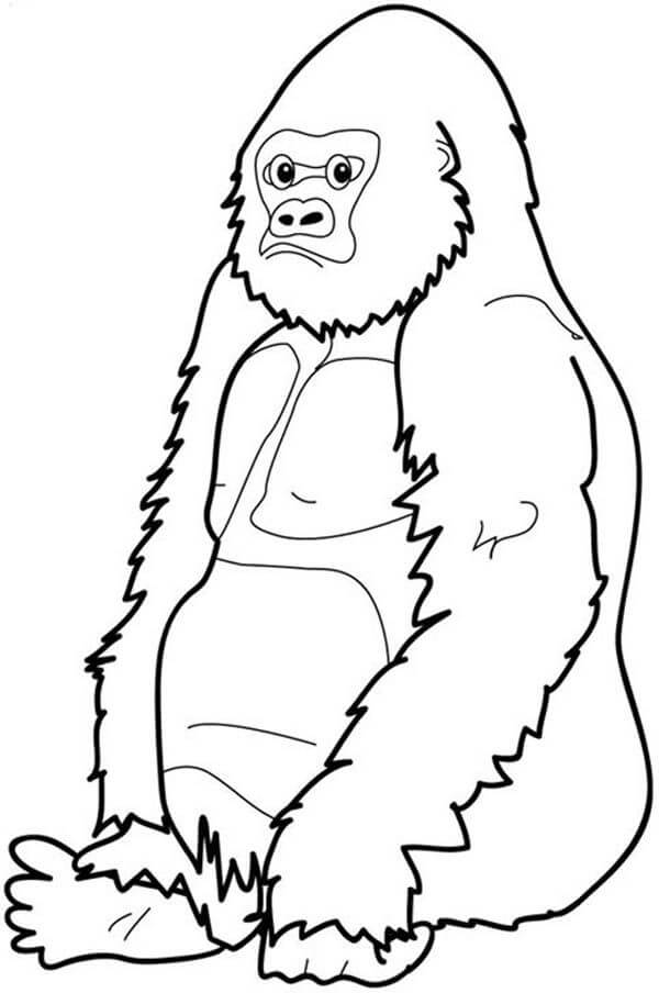 Gorila Sentado para colorir