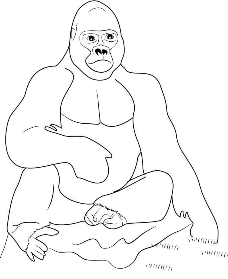 Dibujos de Gorila Simple Sentado para colorear