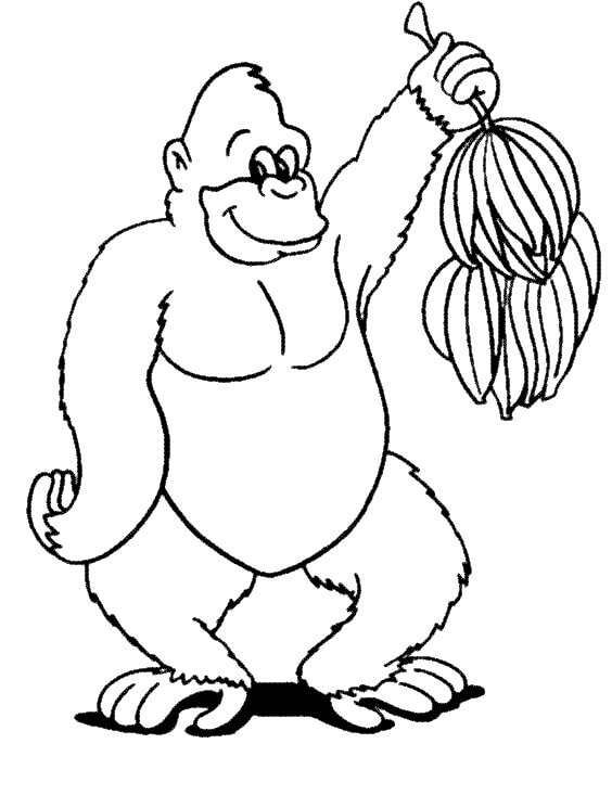 Dibujos de Gorila sosteniendo plátano para colorear